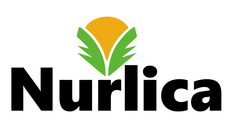 nurlica.com